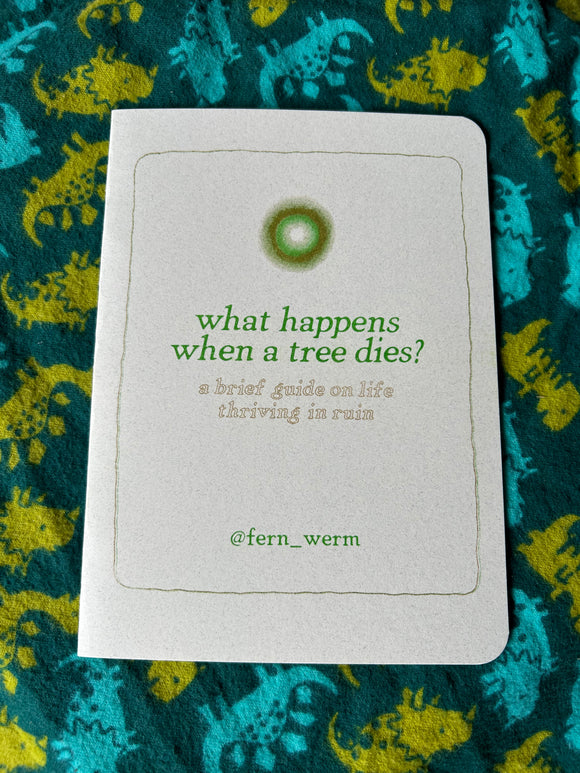What Happens When a Tree Dies